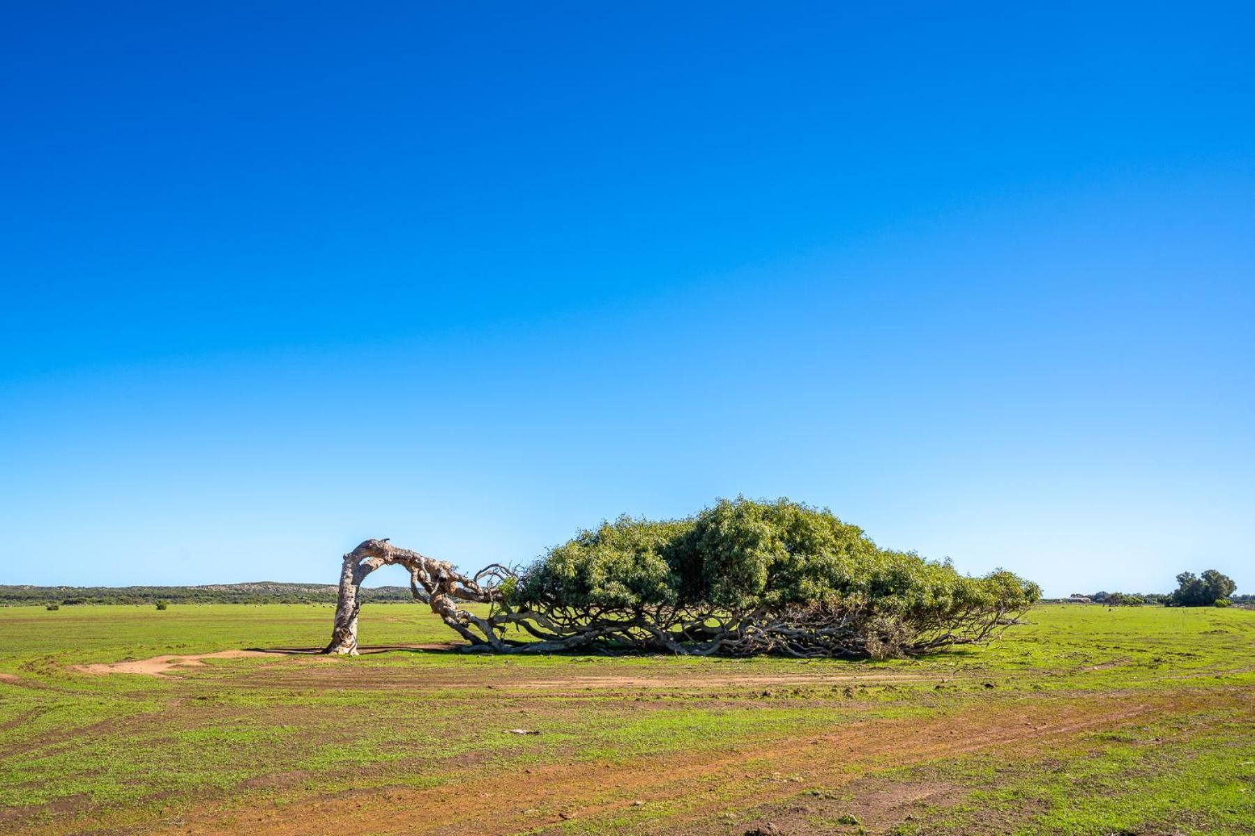 Hospitality Geraldton Surestay Collection By Best Western Esterno foto